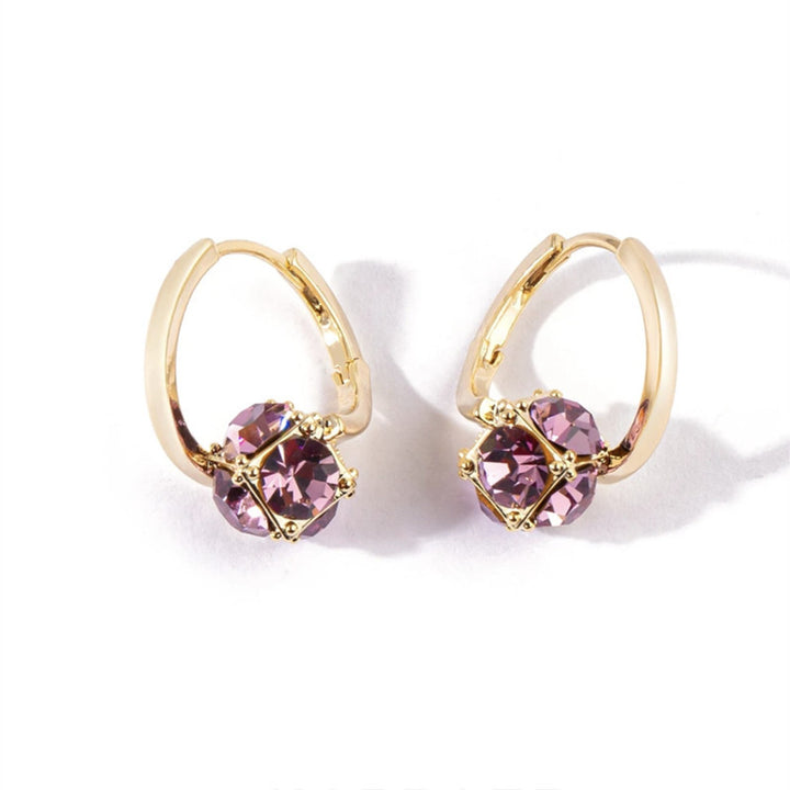 Double-Stone Clasp Hoop Earrings (Dual-Color Light Luxury Style Series)