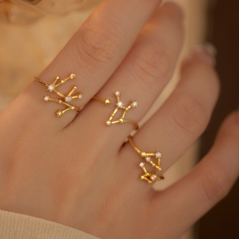 925 Silver Diamond-Inlaid 12 Constellations Open Adjustable Ring (Unisex Luxury Personalized Style)