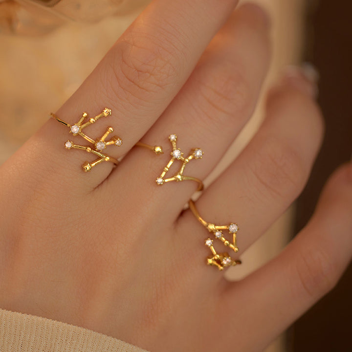 925 Silver Diamond-Inlaid 12 Constellations Open Adjustable Ring (Unisex Luxury Personalized Style)
