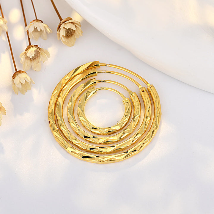 Twisted Hoop Earring Set (Light Luxury Niche Minimalist Earrings)