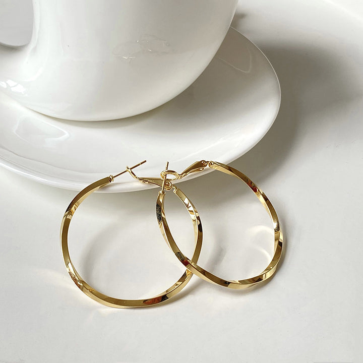 Twisted Hoop Earring Set (Light Luxury Niche Minimalist Earrings)