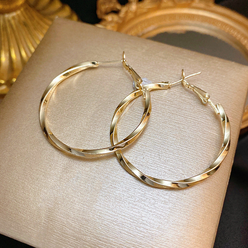 Twisted Hoop Earring Set (Light Luxury Niche Minimalist Earrings)