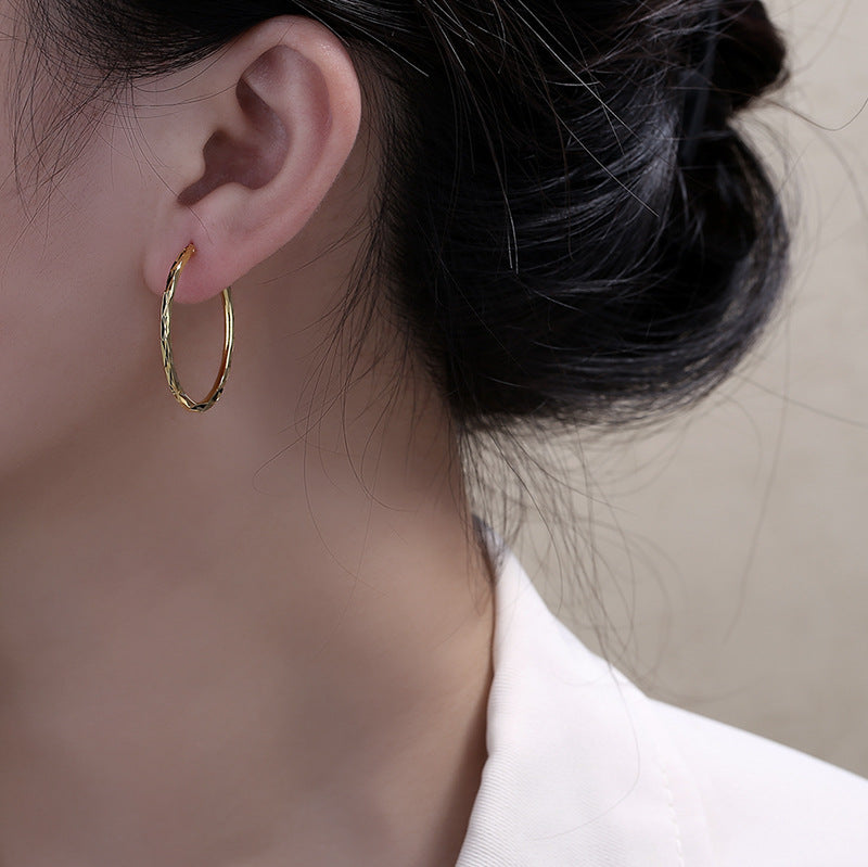 Twisted Hoop Earring Set (Light Luxury Niche Minimalist Earrings)