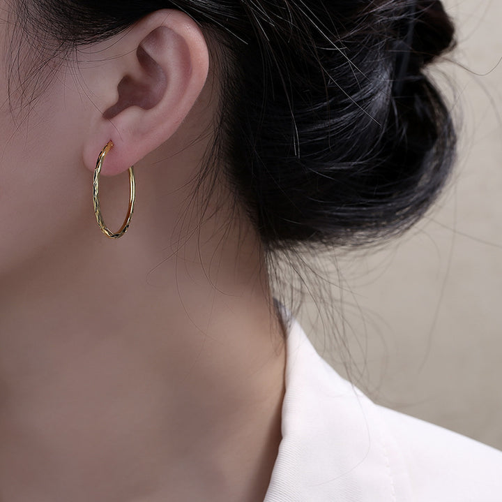Twisted Hoop Earring Set (Light Luxury Niche Minimalist Earrings)