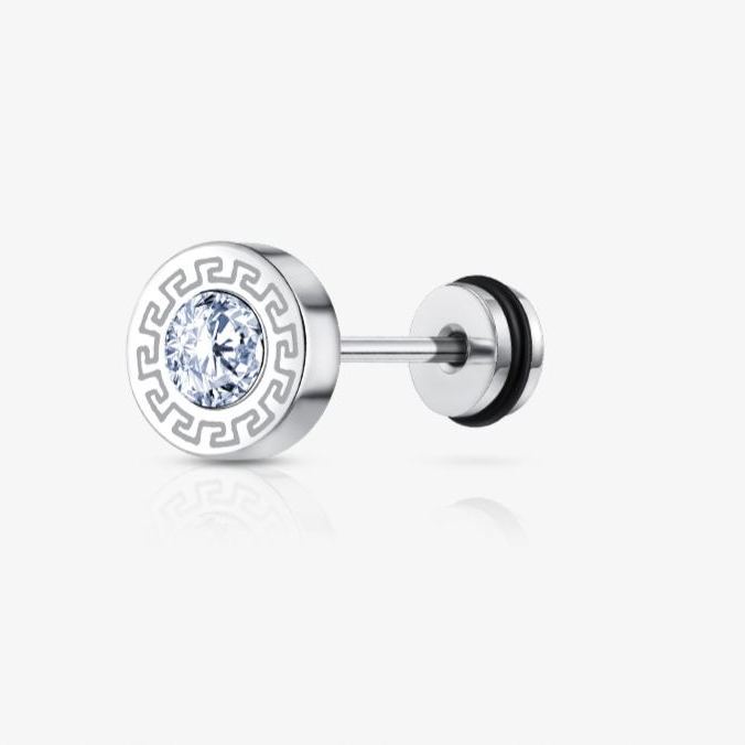 Trendy Titanium Steel Zircon Earrings for Men
