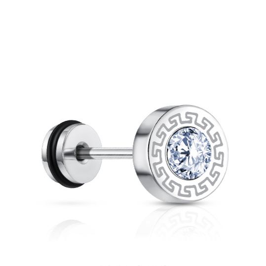 Trendy Titanium Steel Zircon Earrings for Men