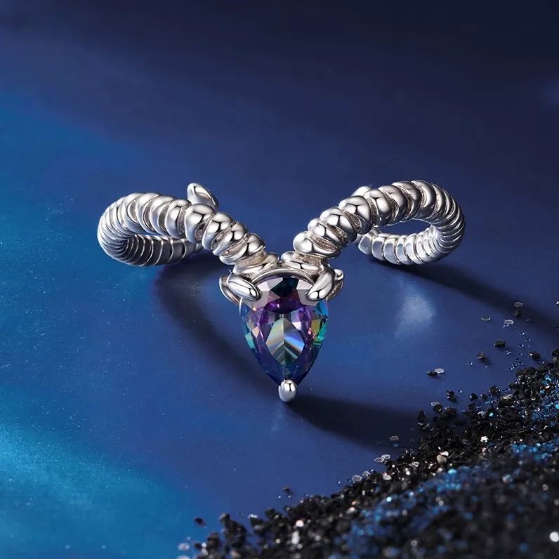 S925 Silver Adjustable Zodiac Ring