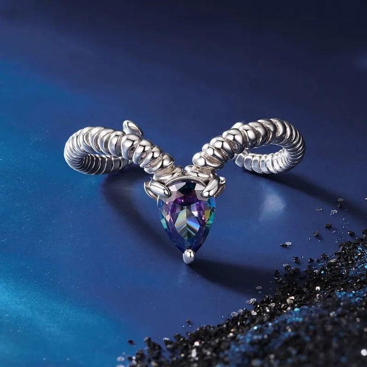 S925 Silver Adjustable Zodiac Ring