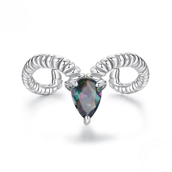 S925 Silver Adjustable Zodiac Ring