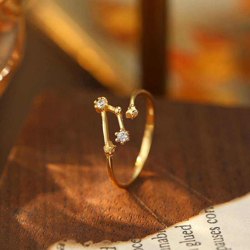 925 Silver Diamond-Inlaid 12 Constellations Open Adjustable Ring (Unisex Luxury Personalized Style)