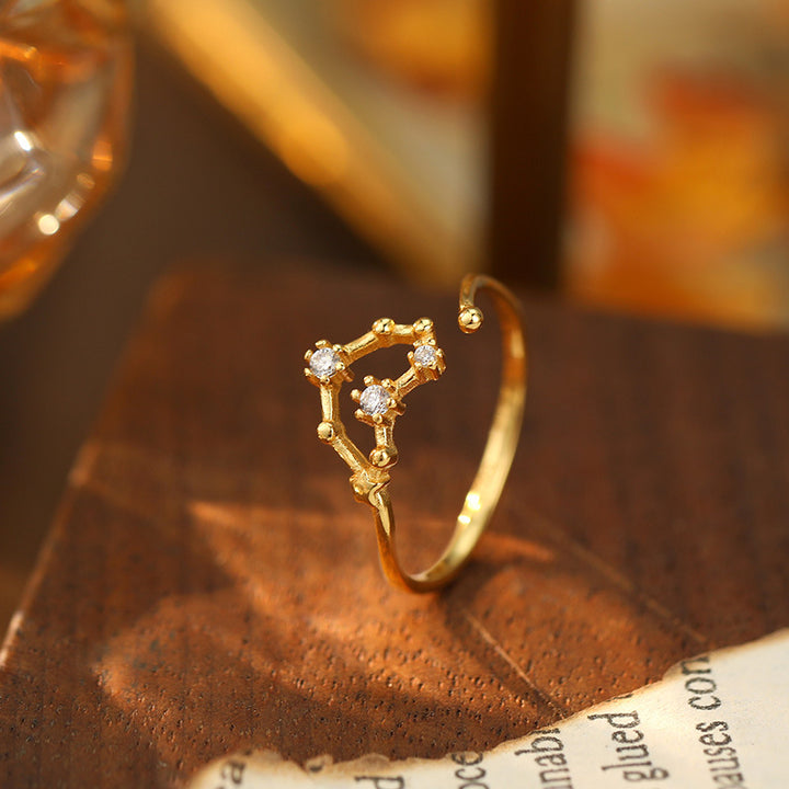 925 Silver Diamond-Inlaid 12 Constellations Open Adjustable Ring (Unisex Luxury Personalized Style)