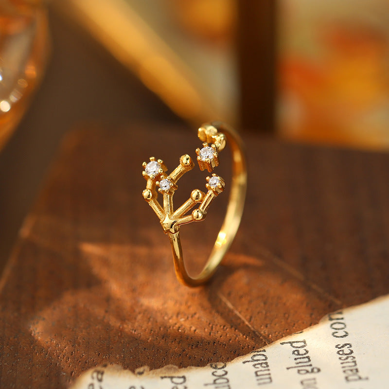 925 Silver Diamond-Inlaid 12 Constellations Open Adjustable Ring (Unisex Luxury Personalized Style)