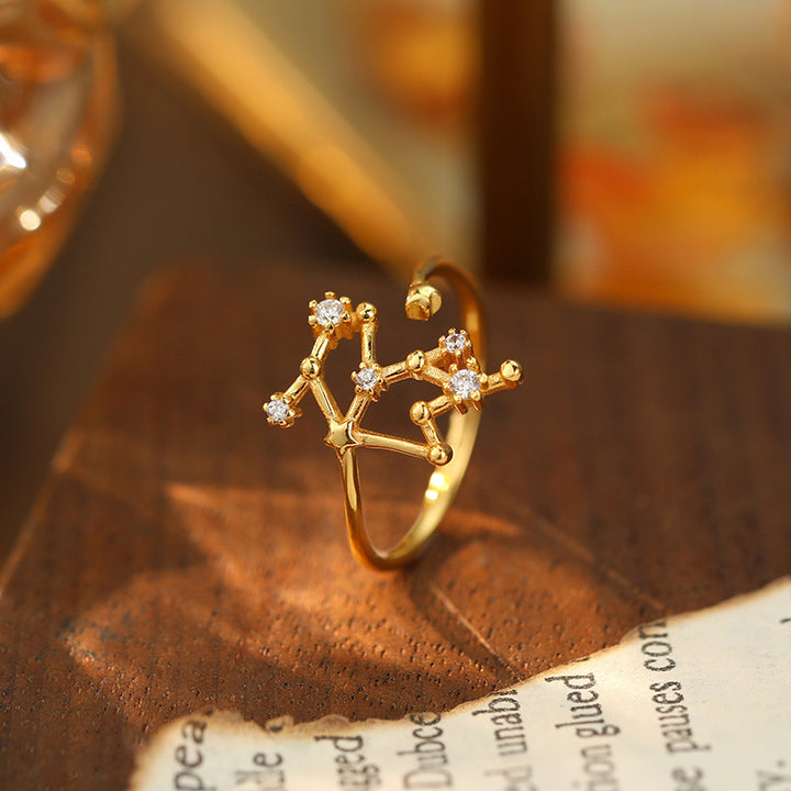 925 Silver Diamond-Inlaid 12 Constellations Open Adjustable Ring (Unisex Luxury Personalized Style)