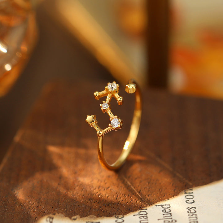 925 Silver Diamond-Inlaid 12 Constellations Open Adjustable Ring (Unisex Luxury Personalized Style)
